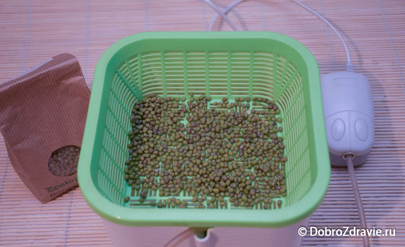 «Здоровья Клад» - гидропонный проращиватель семян, отзыв с фото, проращивание семян, подробный обзор 