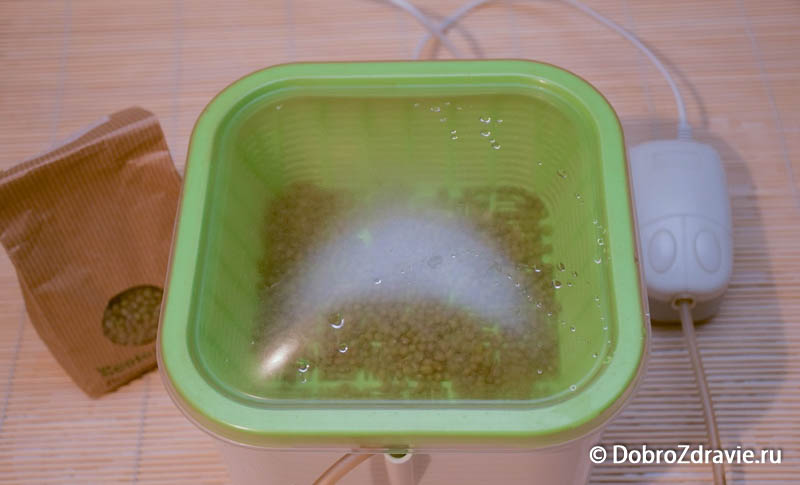 «Здоровья Клад» - гидропонный проращиватель семян, отзыв с фото, проращивание семян, подробный обзор 