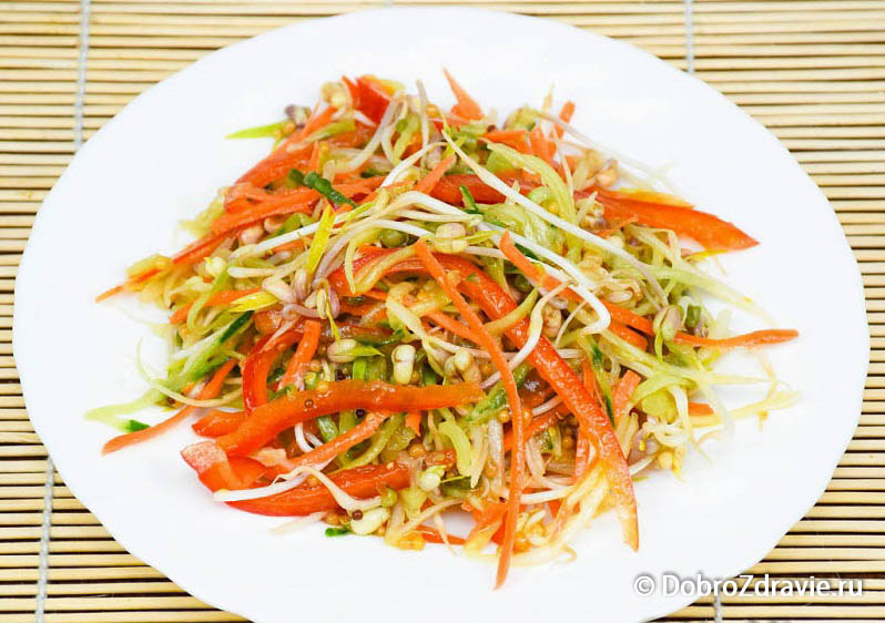 Салат с проростками маша – вегетарианский рецепт приготовления с фото